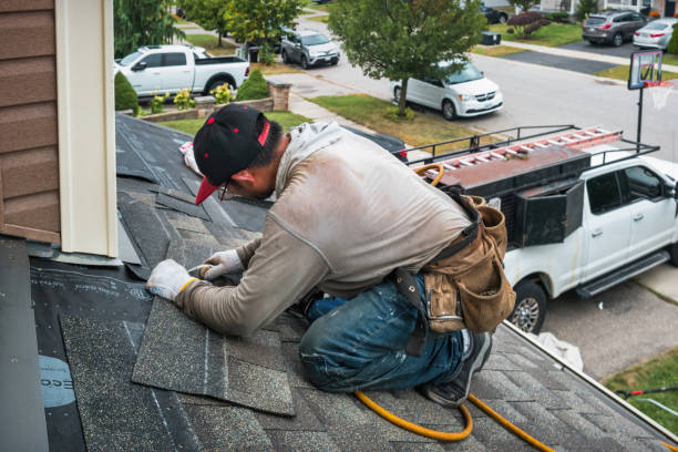 Professional Gutter Repair And Installation technician working in Somonauk, IL